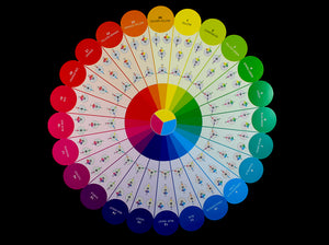 Essential Color Wheel
