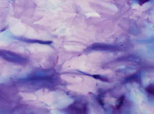 Blu Pervinca