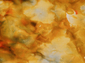 Chanterelle