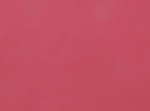 Pink Lilac