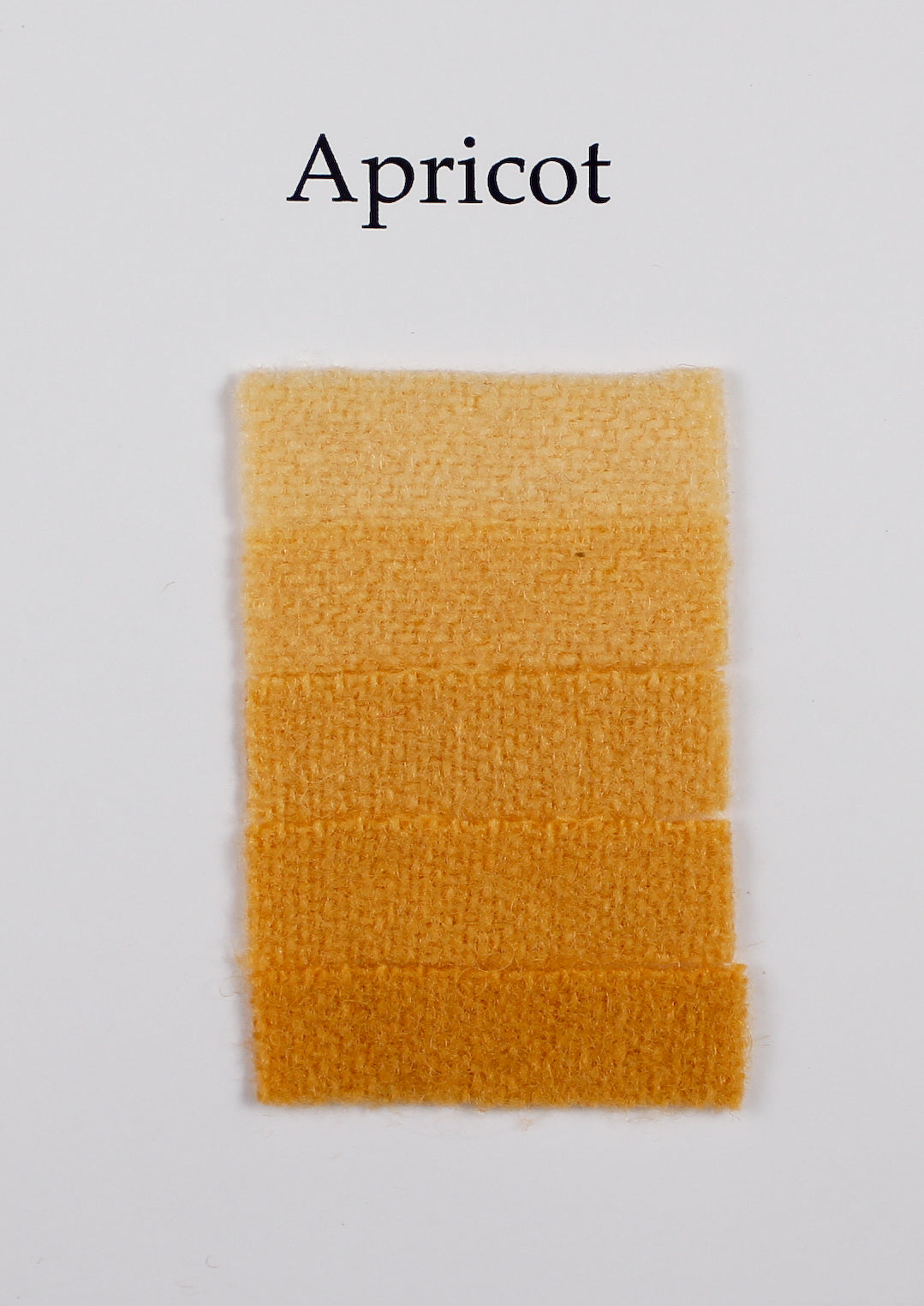 Apricot