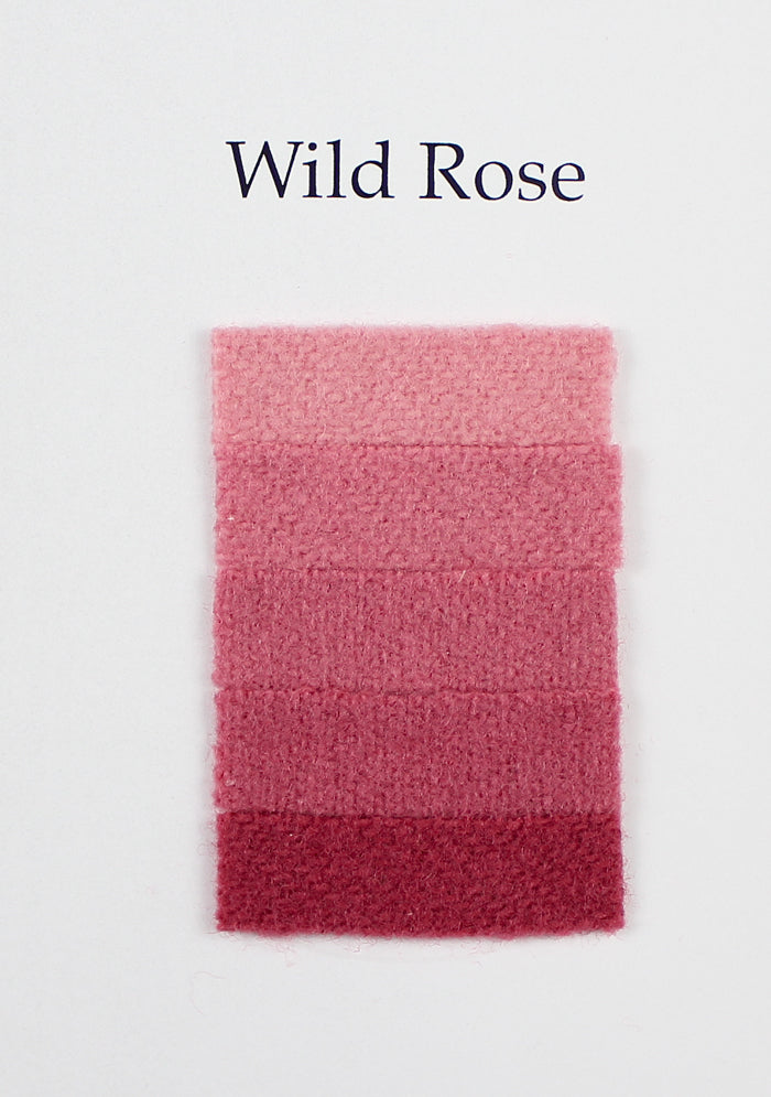 Wild Rose