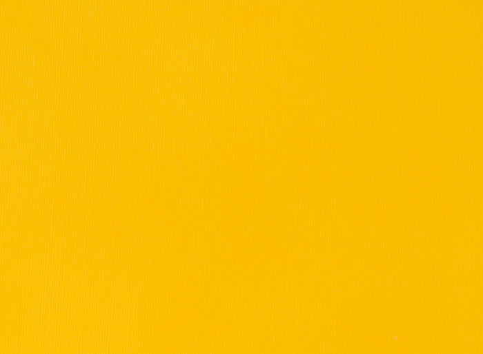 Zesty Yellow